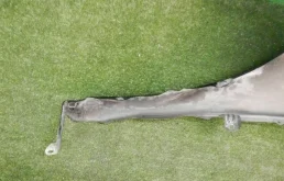 Крылья для Toyota Alphard 2020 года на фотографиях