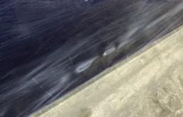 Дверь передняя правая для Audi A4 2015 года на фотографиях