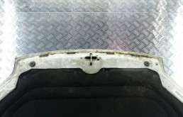 Капот для Citroen Berlingo 2005 года на фотографиях