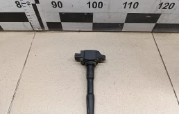 Катушка зажигания Duster 2012>