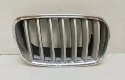 Решетка радиатора BMW X5 2006-2010 E70