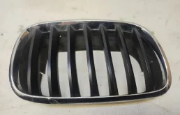 Решетка радиатора BMW X5 2006-2010 E70