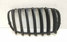 Решетка радиатора BMW X5 2006-2010 E70