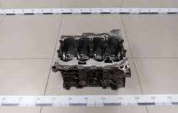 Блок двигателя Skoda Rapid 2012-2020