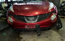Nose cut Nissan Juke 2013 F15E