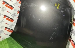 Капот Audi Q5 8R0823029 8R, передний