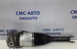 Амортизатор в сборе пневма Audi A8 2006-2010 4E0616001E D3 4.2FSI BVJ, задний левый