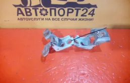 Петли двери комплект RENAULT FLUENCE 2014-2018 804200003R L30R K4M 838, задние правые
