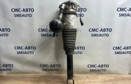 Амортизатор (пневма) Audi A8 4E0616001N D3 4.2 BVJ, задний левый