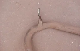 Выхлопная система в сборе для Toyota RAV4 2018 года на фотографиях