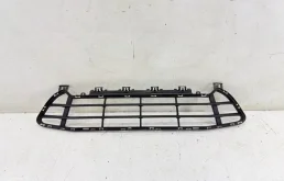 Решетка бампера BMW X1 2019-2023 F48