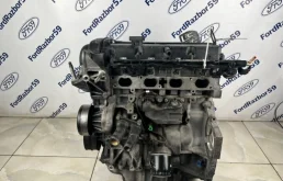 Двигатель Ford Focus 2009 1472848 CB4 1.6 (SHDA)