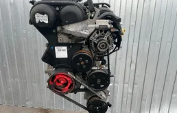 Двигатель Ford Focus 2 1.6