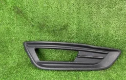 Окантовка противотуманной фары Ford Focus 2015 3