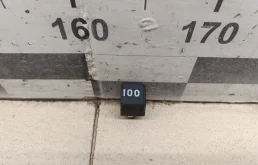 Реле 100 [C4] 1991-1994