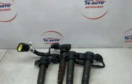 Катушка зажигания Chevrolet Aveo 2009 96875090 T 250 1.2 B12D1 84 Л.С. БЕНЗИН