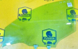 стекло переднее левое (803014ea0a) для Nissan Qashqai J11 2013-2019