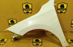 Ноускат для Skoda Rapid II 2020+