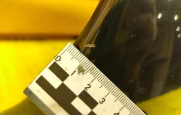 Крыло левое для Mercedes-Benz E class 2002 года на фотографиях