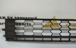 Решетка переднего бампера для Skoda Rapid 2019 года на фотографиях