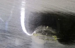 Бампер задний для BMW 7er 2021 года на фотографиях