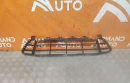 Решетка бампера BMW X1 2019-2022 51117954220 F48, передняя