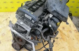 Двигатель Ford Focus 2 QQDB 1.8