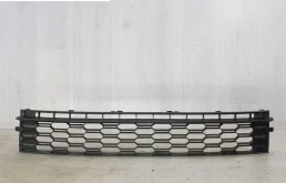 Решетка переднего бампера для Skoda Rapid 2019 года на фотографиях