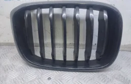 Ноздря / Решетка капота BMW X3 G01 (2017—2021)