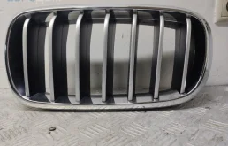 Ноздря / Решетка капота BMW X6 F16 (2014—2020)