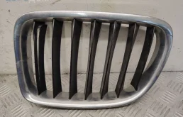 Ноздря / Решетка капота BMW X1 E84 (2009—2012)