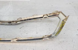 Молдинг решетки радиатора для Skoda Rapid на фотографиях