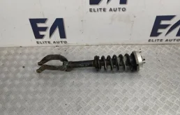 Стойка амортизатора BMW X6 2010 31316783016 E71 3.0, передняя левая