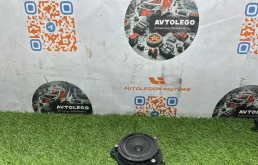 Динамик BMW X1 2018 65139281896 F48 B46, задний правый