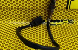 Датчик кислорода нижний Volkswagen Golf 2012 1K0998262S MK6 CAXA