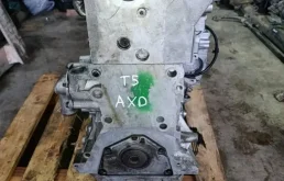 Двигатель,AXD,Volkswagen Multivan T5 2006