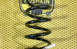 Пружина подвески Nissan Qashqai 2014 550204EA0B J11, задняя левая