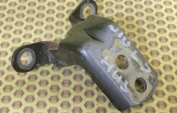 Петля двери задняя нижняя Nissan Qashqai 2008 824202F030 J10E K9K, левая