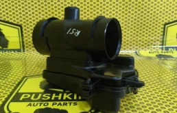 Резонатор воздушного фильтра Nissan Pathfinder 2011 165765X20B R51 V9X