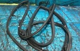 Уплотнитель двери TOYOTA LAND CRUISER 200 2016 6787160110 4