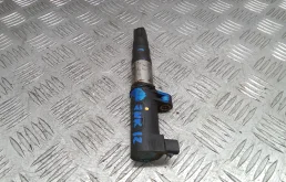 Катушка зажигания бензиновая 7700875000 RENAULT SCENIC 3 (2009-0000) 2011 1.6  КПП 6ст.