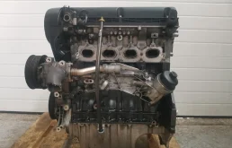 Двигатель Chevrolet Aveo 25196860 T300 F16D4