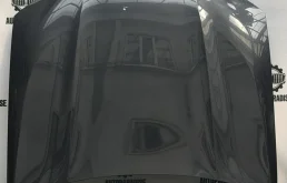 Капот BMW X3 2020 41007933467 G01 B47D20B