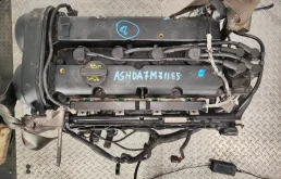 Двигатель Ford Focus 1904847 2 1.6 16V SHDA