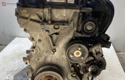 Двигатель Ford C-MAX 1319917 AODA