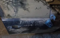Дверь Ford Mondeo III (2000—2003)