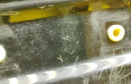 Крыло левое для Mercedes-Benz E class 2002 года на фотографиях