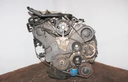 Двигатель без навесного для Kia Carnival 2007 года на фотографиях