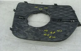 Решетка радиатора для BMW X6 2010 года на фотографиях