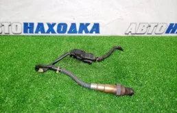 Лямбда-зонд VOLKSWAGEN TOUAREG 2002-2010 022906262CA 7LA BHK, передний